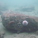 Catherine Reef Photo 7