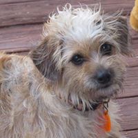 Cynthia Spence Photo 26