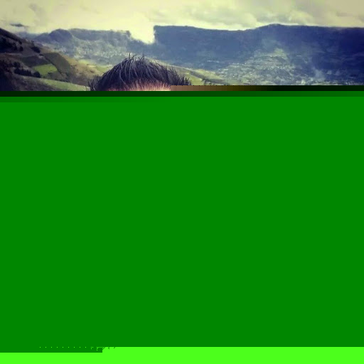 Fernando Beltran Photo 47