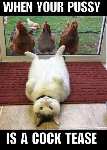 Fred Bishop Photo 19