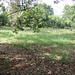Vuong Vu Photo 14