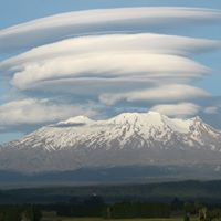 Janice Lamb Photo 29