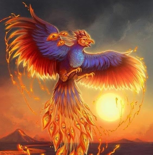 Angie O'Brien Photo 18