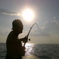 David Pardue Photo 21