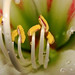 Adan Solis Photo 33