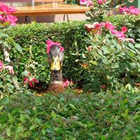 Linda Overfield Photo 5