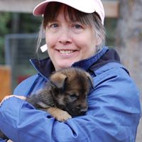 Sharon Biddle Photo 16