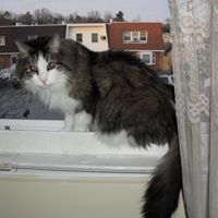 Sandra Hendrickson Photo 11