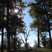 Paula Glynn Photo 8