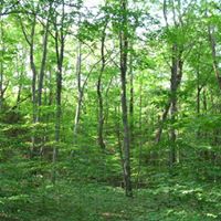 Charles Clayton Photo 47