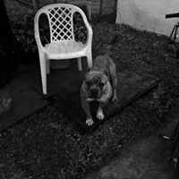 Roger Miller Photo 32 Roger Miller Photo 32