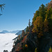 Ray Wallis Photo 23