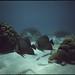 John Few Photo 7