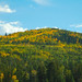 Thomas Greer Photo 16