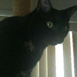 Thomas Wheeler Photo 56 Thomas Wheeler Photo 56