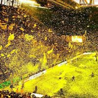 Thomas Brehm Photo 5