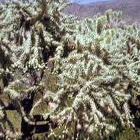 Richard Jameson Photo 18