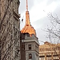 Gloria Flaherty Photo 4