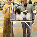 Rafael Francis Photo 30