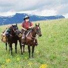 Terry Hedrick Photo 10