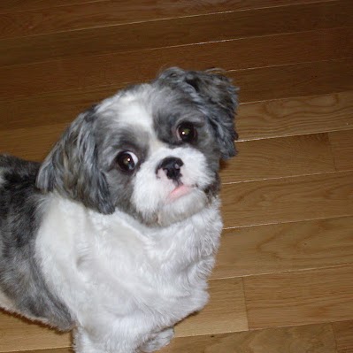 Diane Groves Photo 9