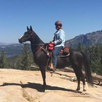 Lucinda Warren Photo 6