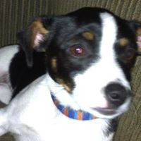 Rosemary Hunt Photo 15