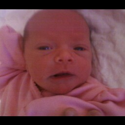 Tracie West Photo 20