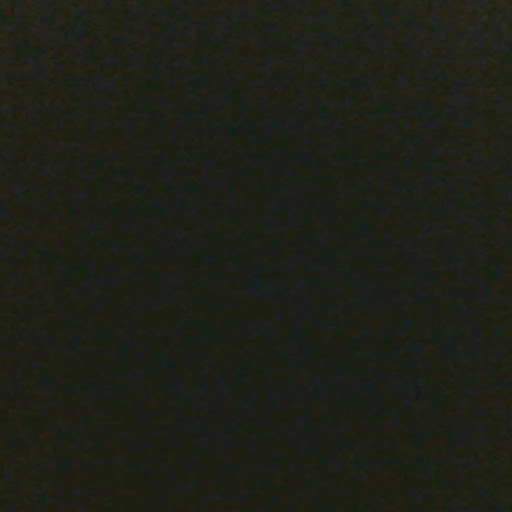 Tamara Armstrong Photo 13