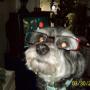 Cindy Shepard Photo 13