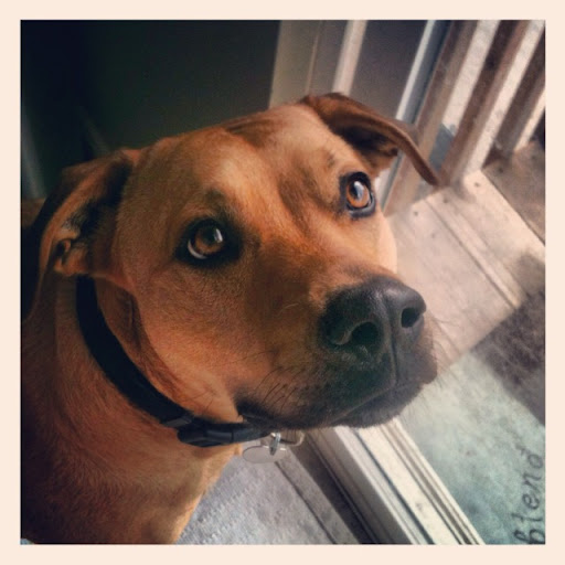 Evelyn Nelson Photo 29