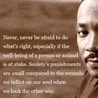 Cindy Bryan Photo 28