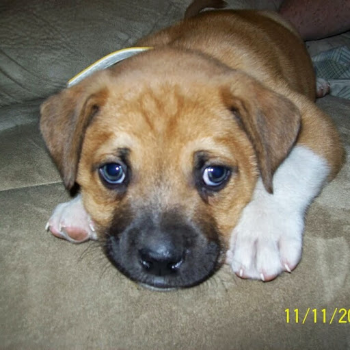 Angel Townsend Photo 3