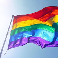 Kristine Larsen Photo 23