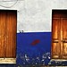 Hector Gonzalez Photo 26