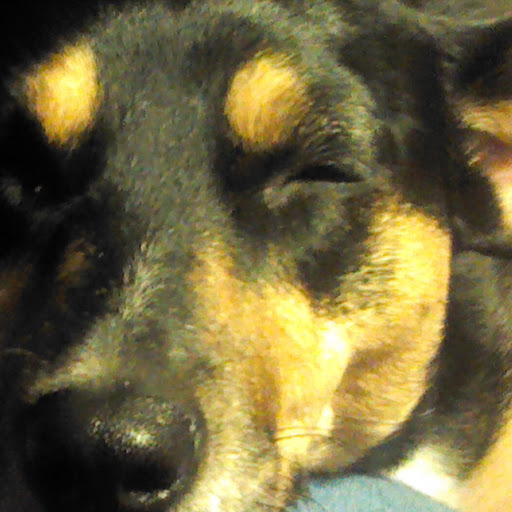 Tracie Hampton Photo 7