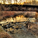 Daniel Comstock Photo 25