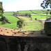 Rusty Bradford Photo 17