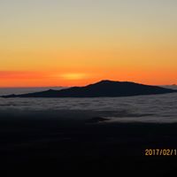 Jane Linton Photo 22