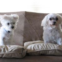 Jacquelyn Hudson Photo 14