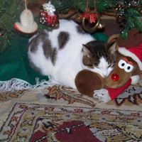 Arline Freeman Photo 2