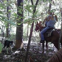 James Cooksey Photo 21