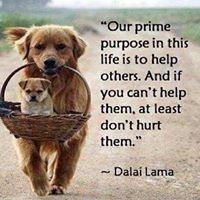 Suzanne Wolf Photo 26