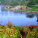 Margaret Ponds Photo 2