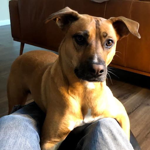 Mark Stewart Photo 58 Mark Stewart Photo 58