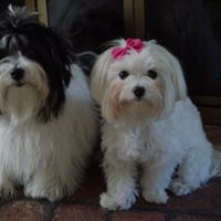 Janet Kraemer Photo 4