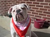 Connie Olson Photo 13