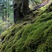 Gina Moss Photo 20