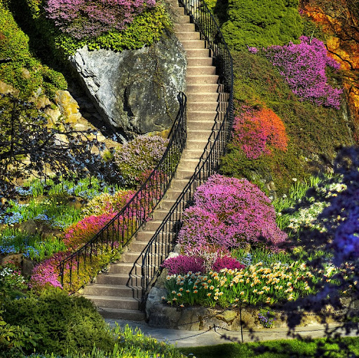 Debbie Gill Photo 34