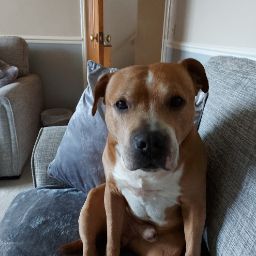 Janet Holland Photo 31 Janet Holland Photo 31